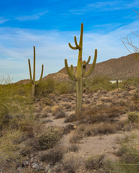 Usery Mountain Regional Park